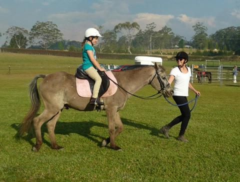 Port Macquarie Horse Riding Centre