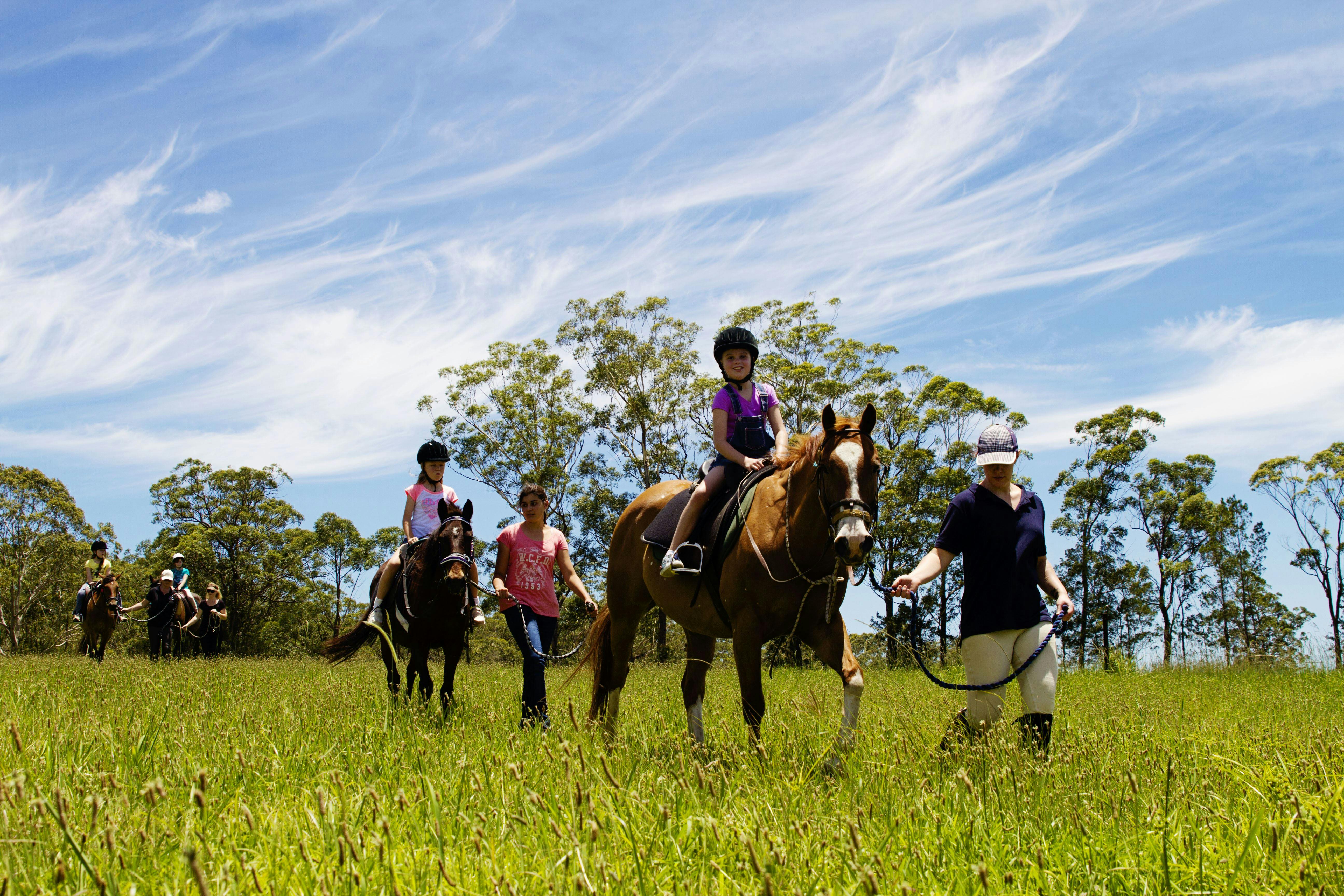 Trail Rides at Cassegrain Winery