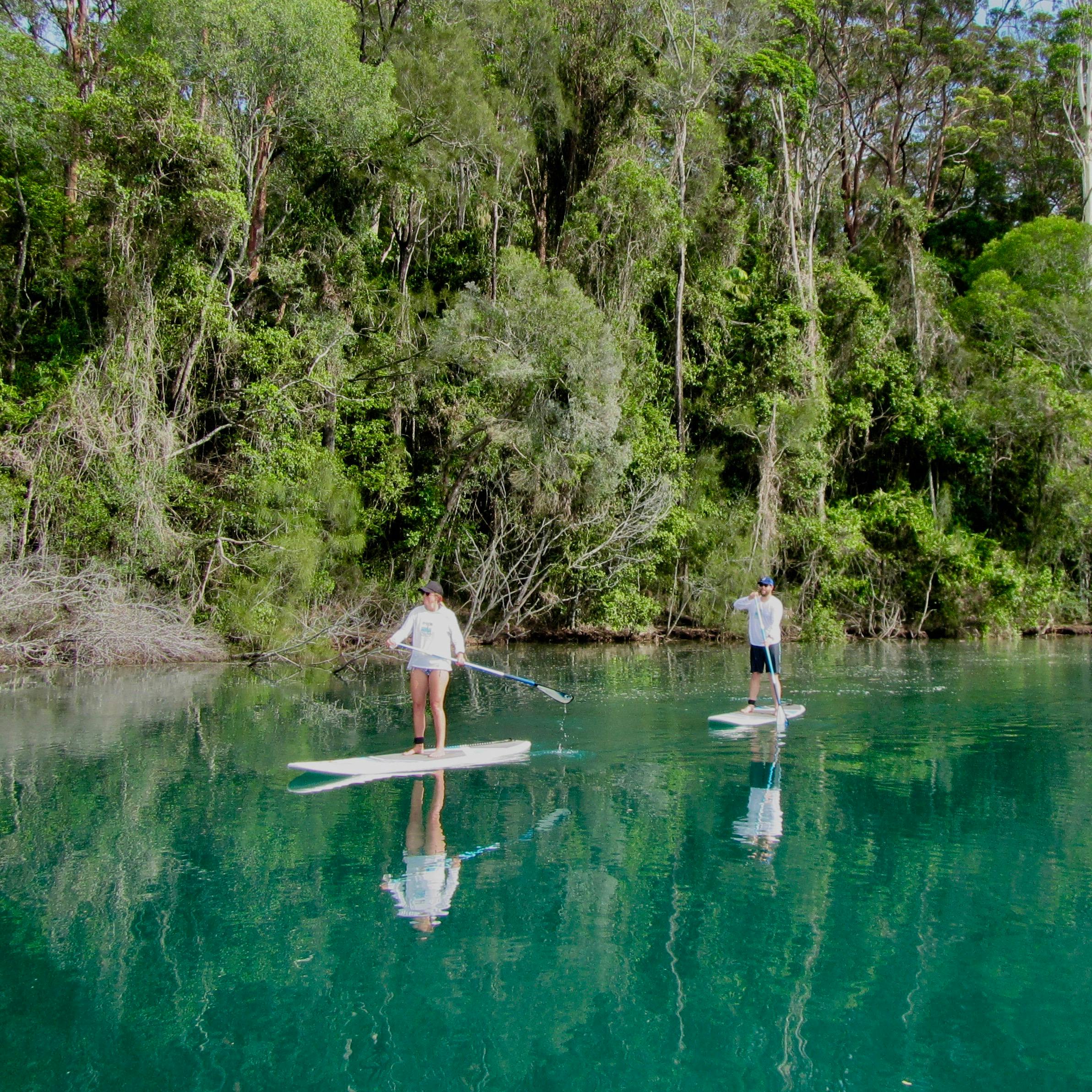 Byron Stand Up Paddle Nature Tour