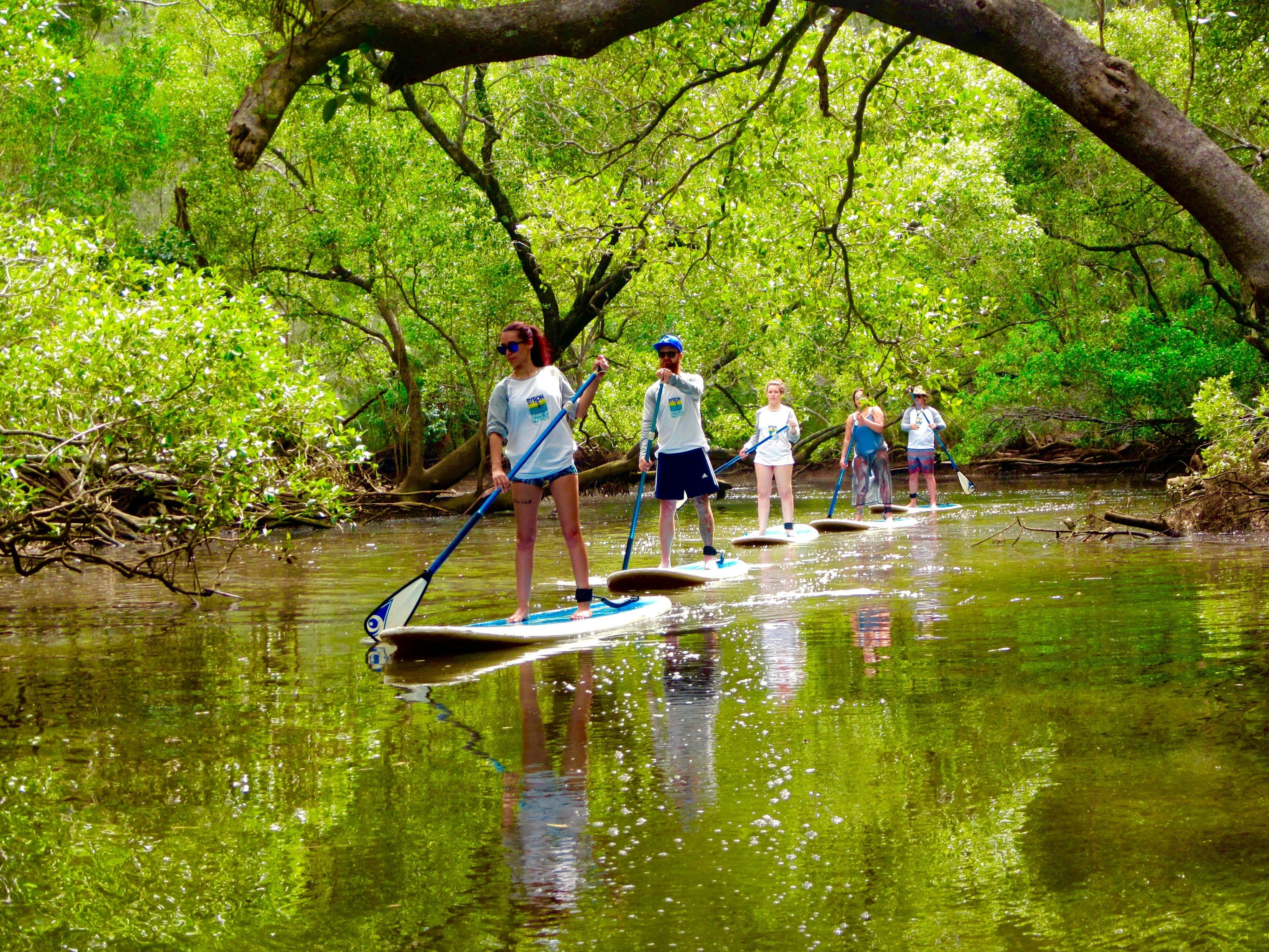 A relaxing adventure through the tunnel of trees
