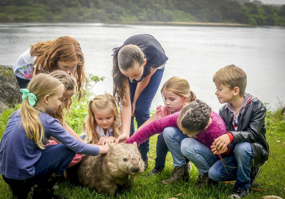 Shoalhaven Zoo