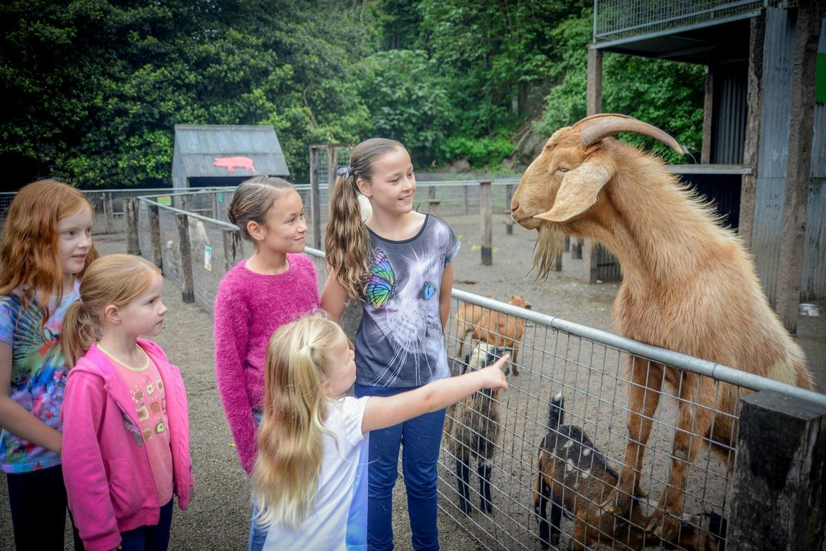 Shoalhaven Zoo