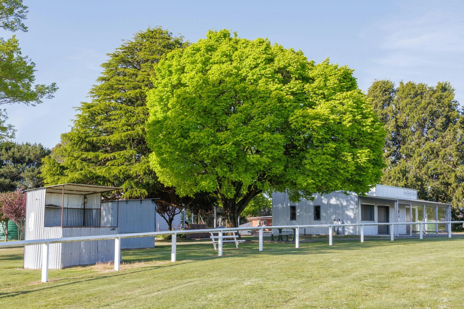 Newbridge Showground