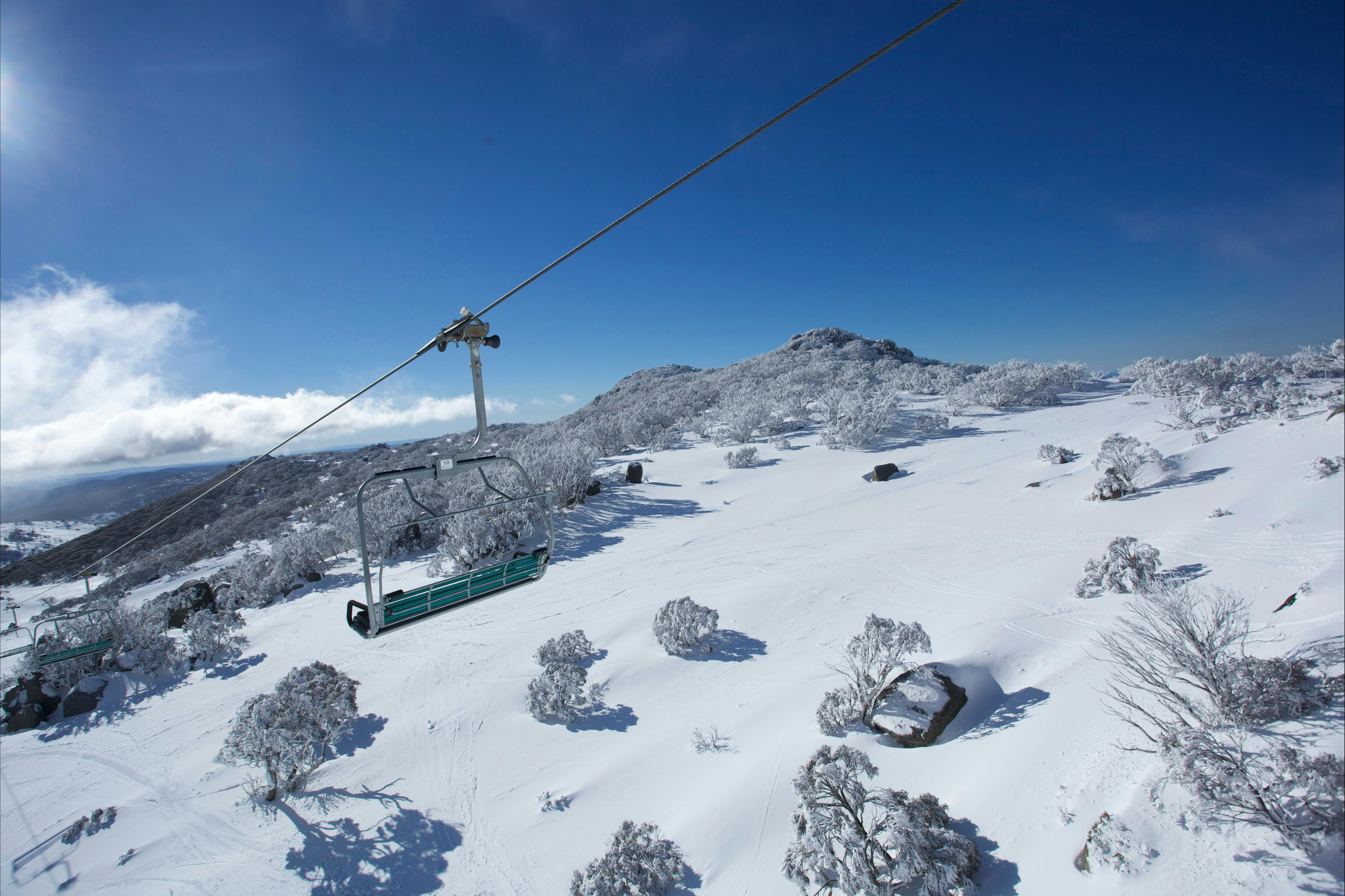 Blue Cow - Terminal Quad Chair