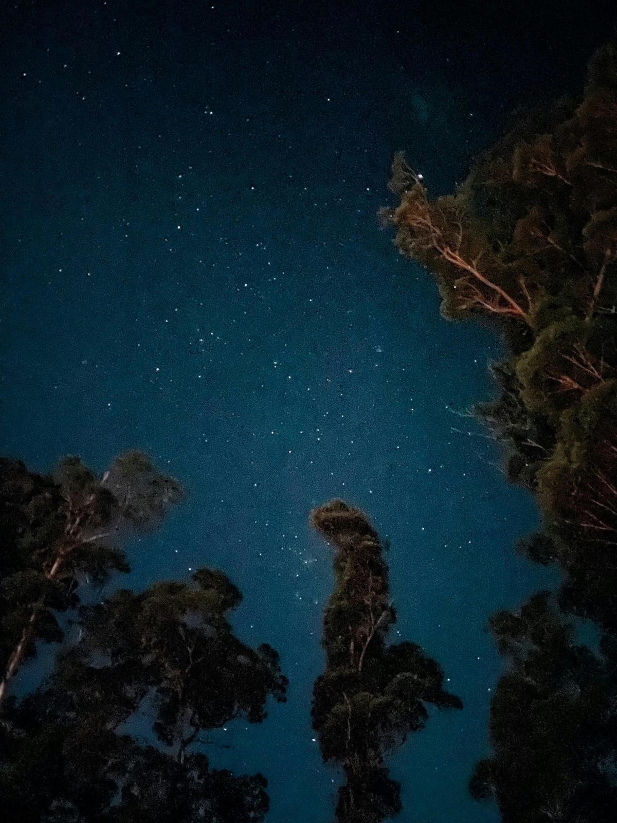 Star Gazing