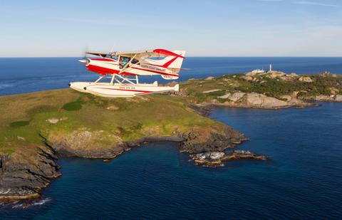 Montague Island Tour