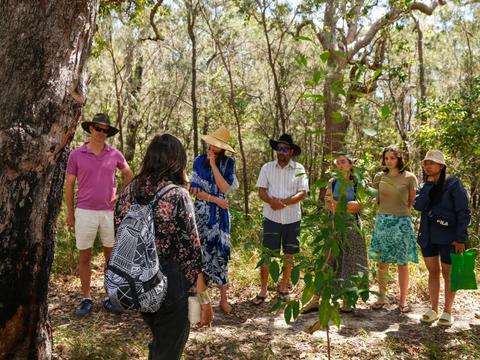 Flavours of the Bush
