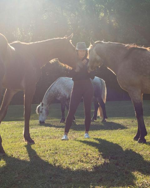 Gentle herd time at Hiddy & Co.