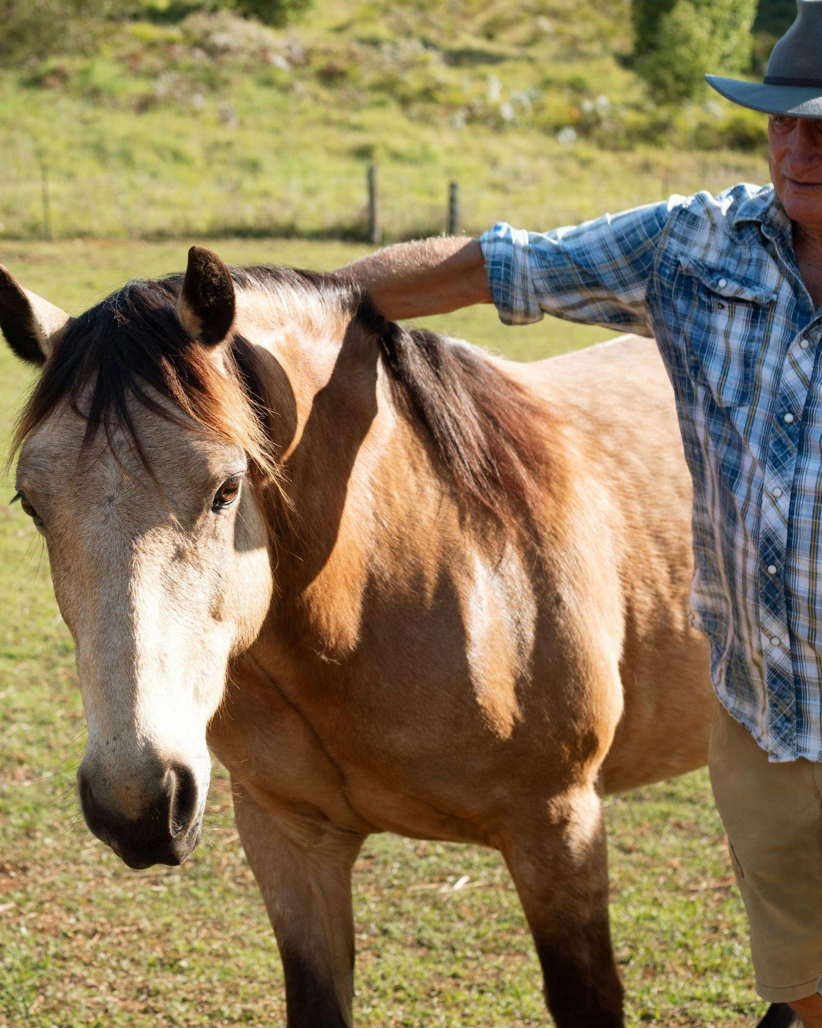 A quiet moment of ease between Spirit and Mac in the sunshine at Hiddy & Co.
