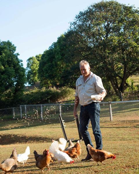 Mac feeding the chooks under the morning sun at Hiddy & Co — simple country joy.