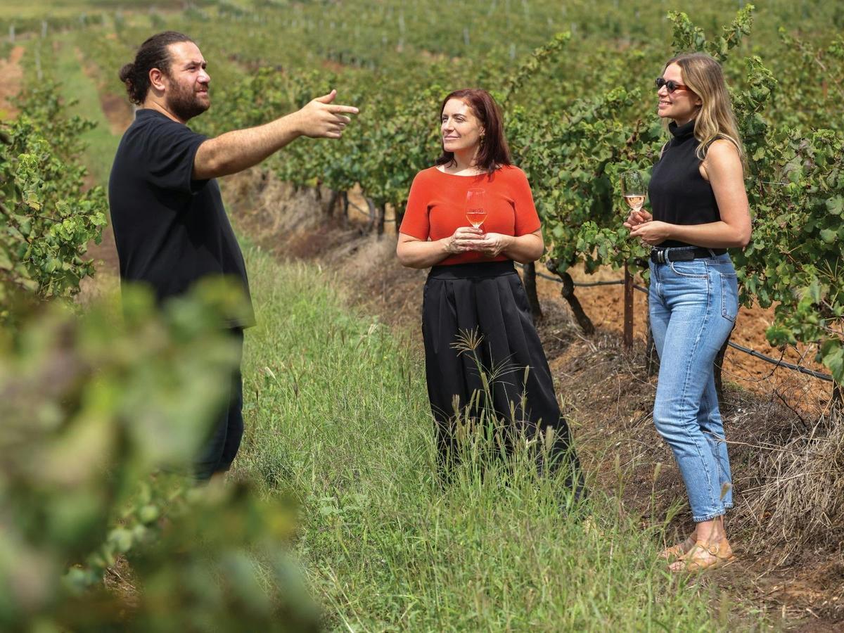 Latitude 32 Wines Vineyard Walk