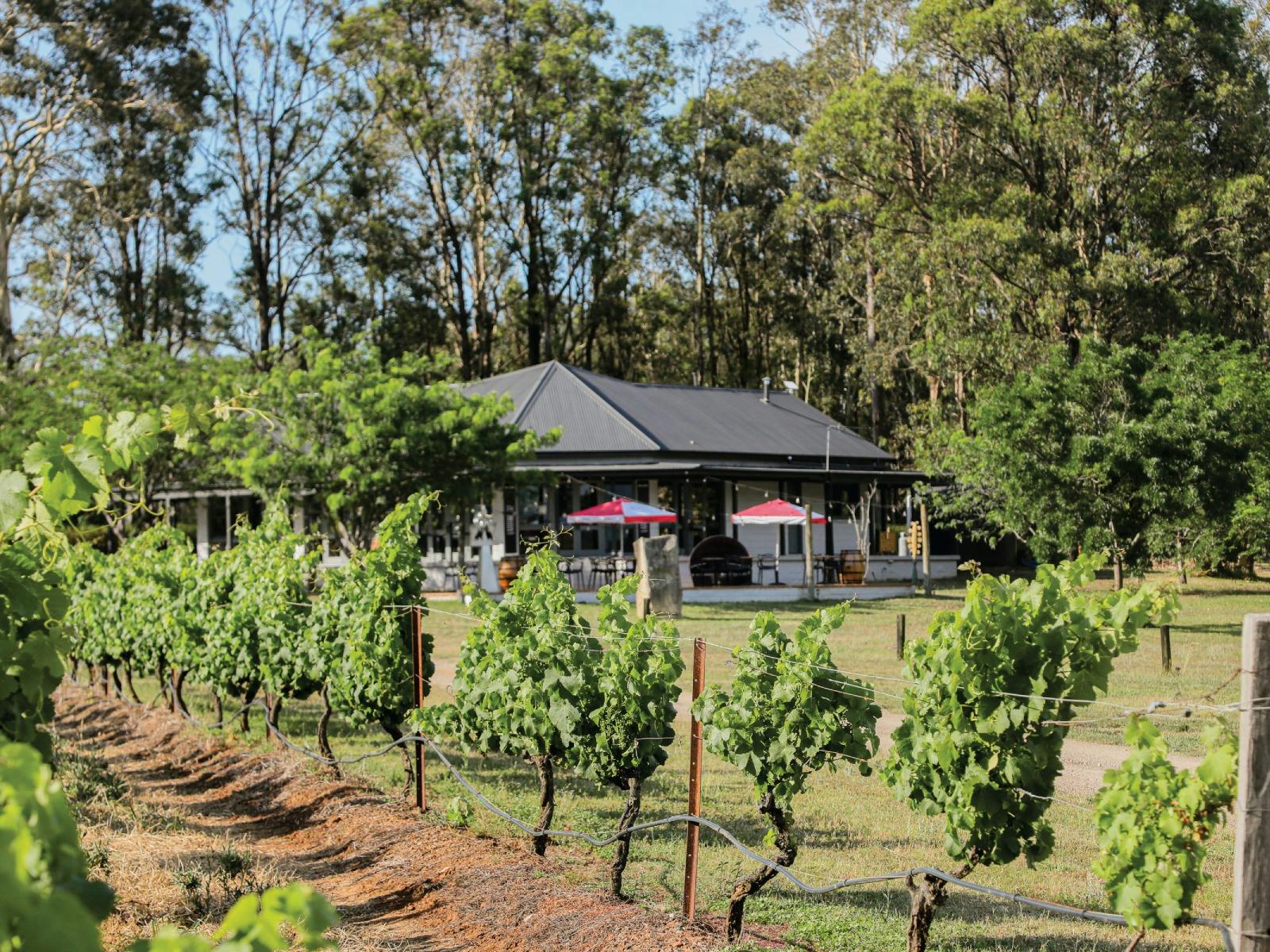 Latitude 32 Wines Cellar Door located in the heart of Hunter Valley wine country