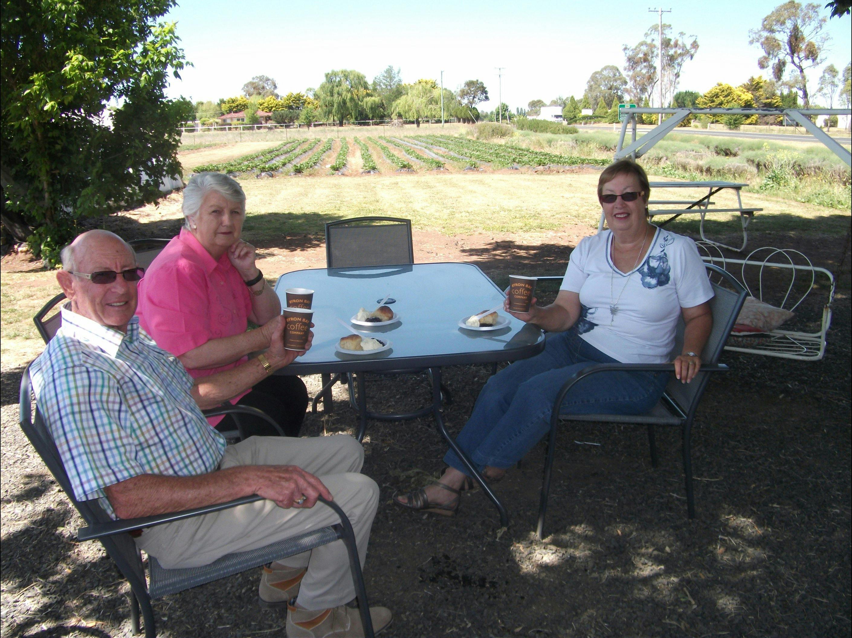 Customers enjoying scones & coffee under our tree!