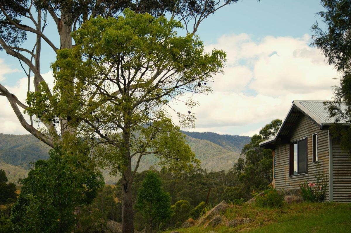Whispering Creek Cabin