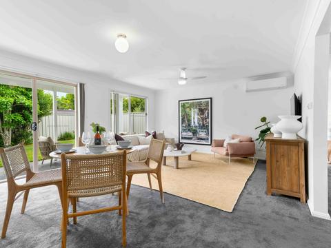 The Little Husky by Experience Jervis Bay