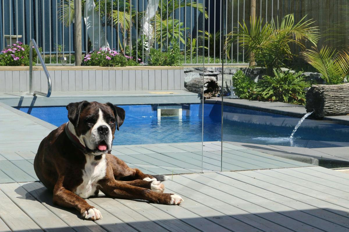 Wheelchair accessible accommodation & dog friendly holiday home with accessible pool