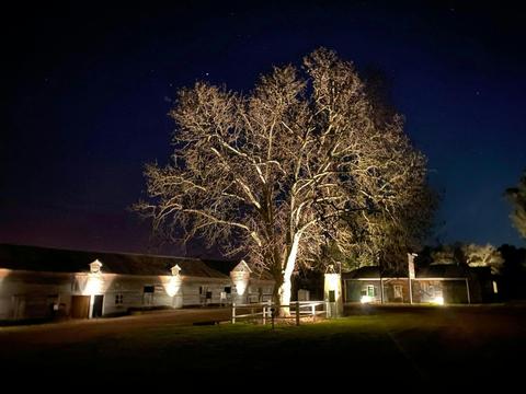 Belgenny Farm by Forte