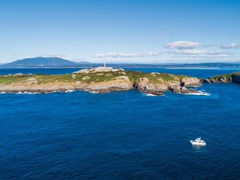 Montague Island Adventures and Charter Fish Narooma