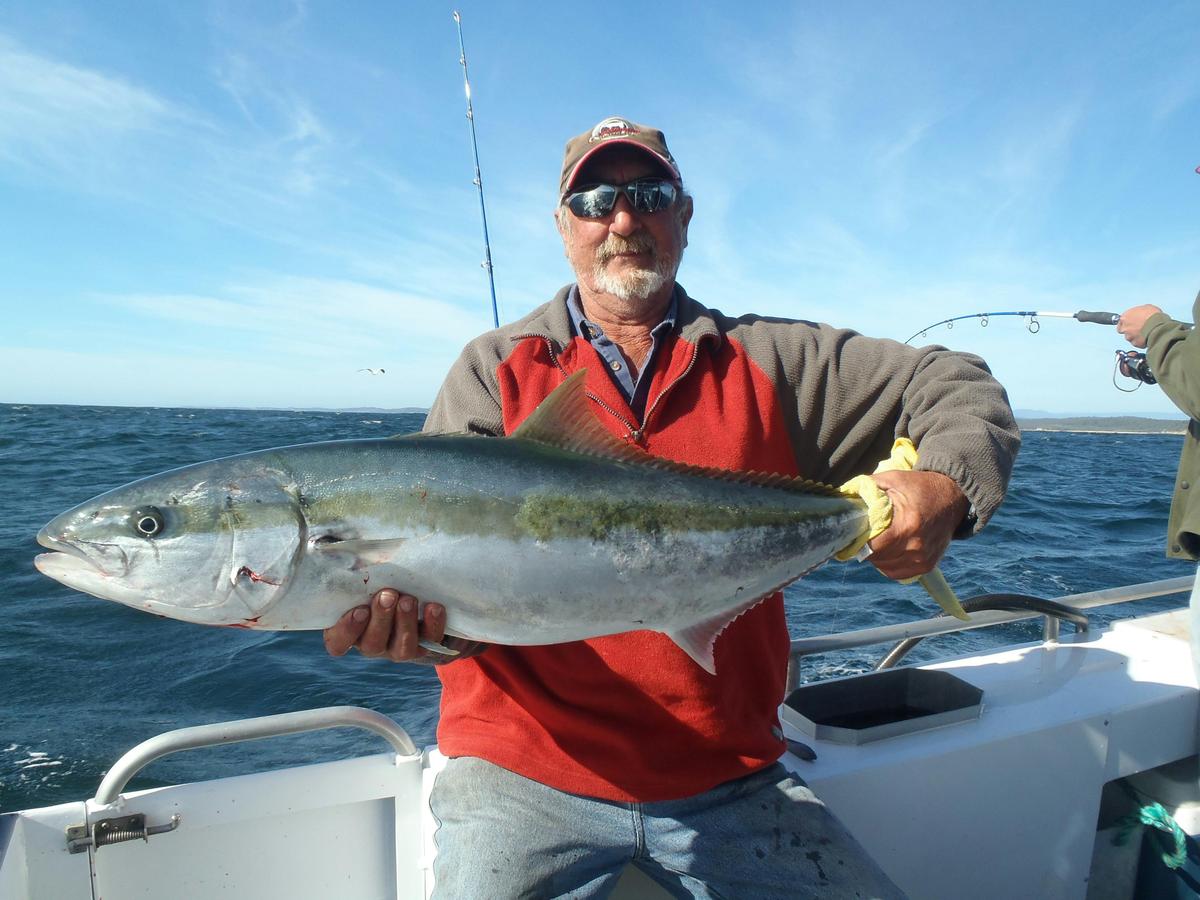 Kingfish Narooma