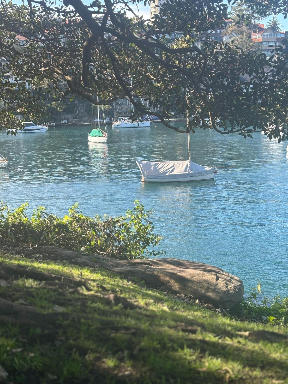 A little pocket of Sydney that feels like a exhale.