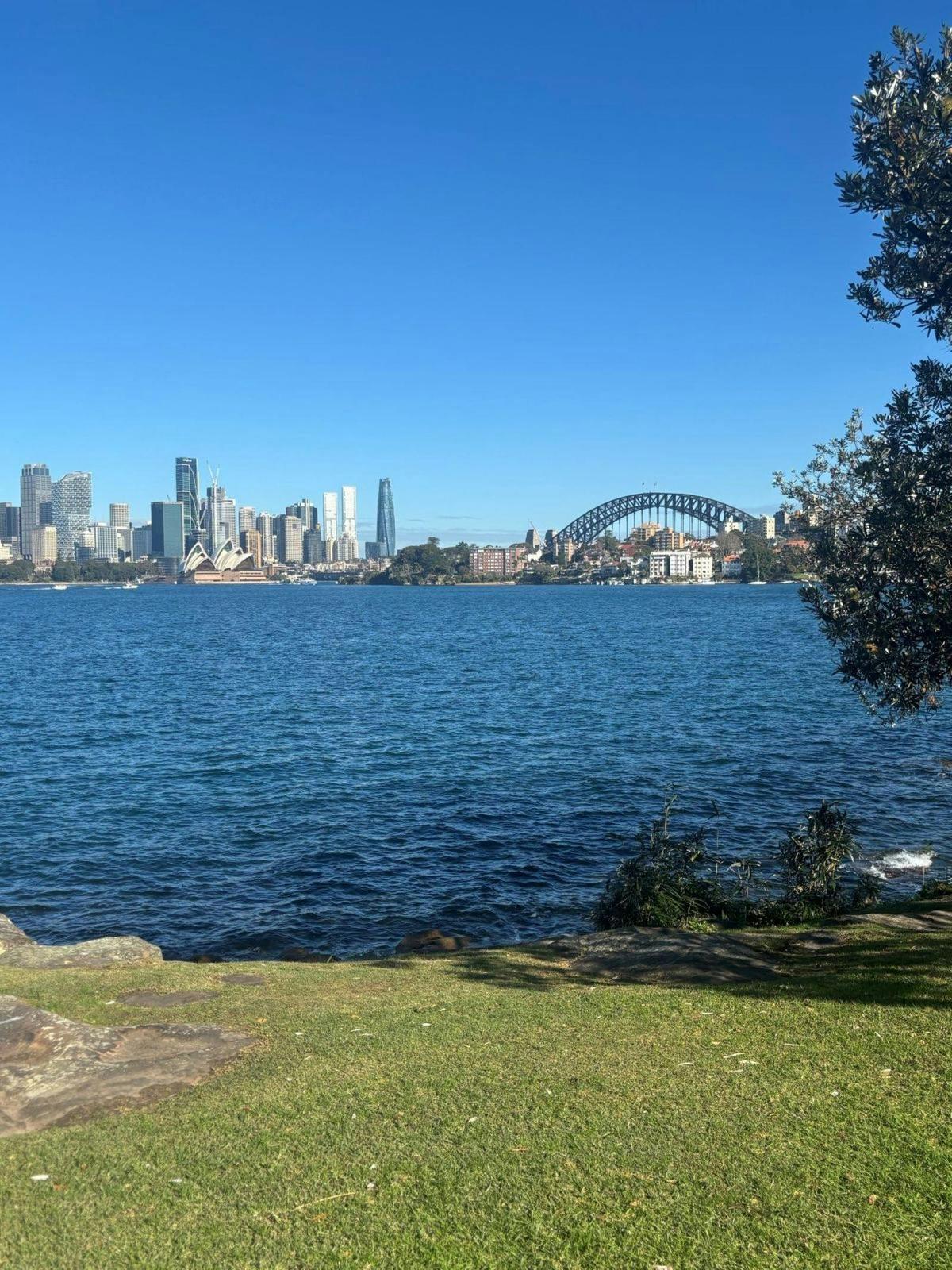 On the quieter side of the harbour. A simple walk that resets everything.