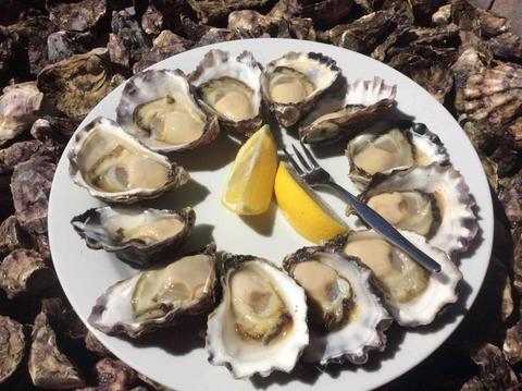 Broadwater Oysters