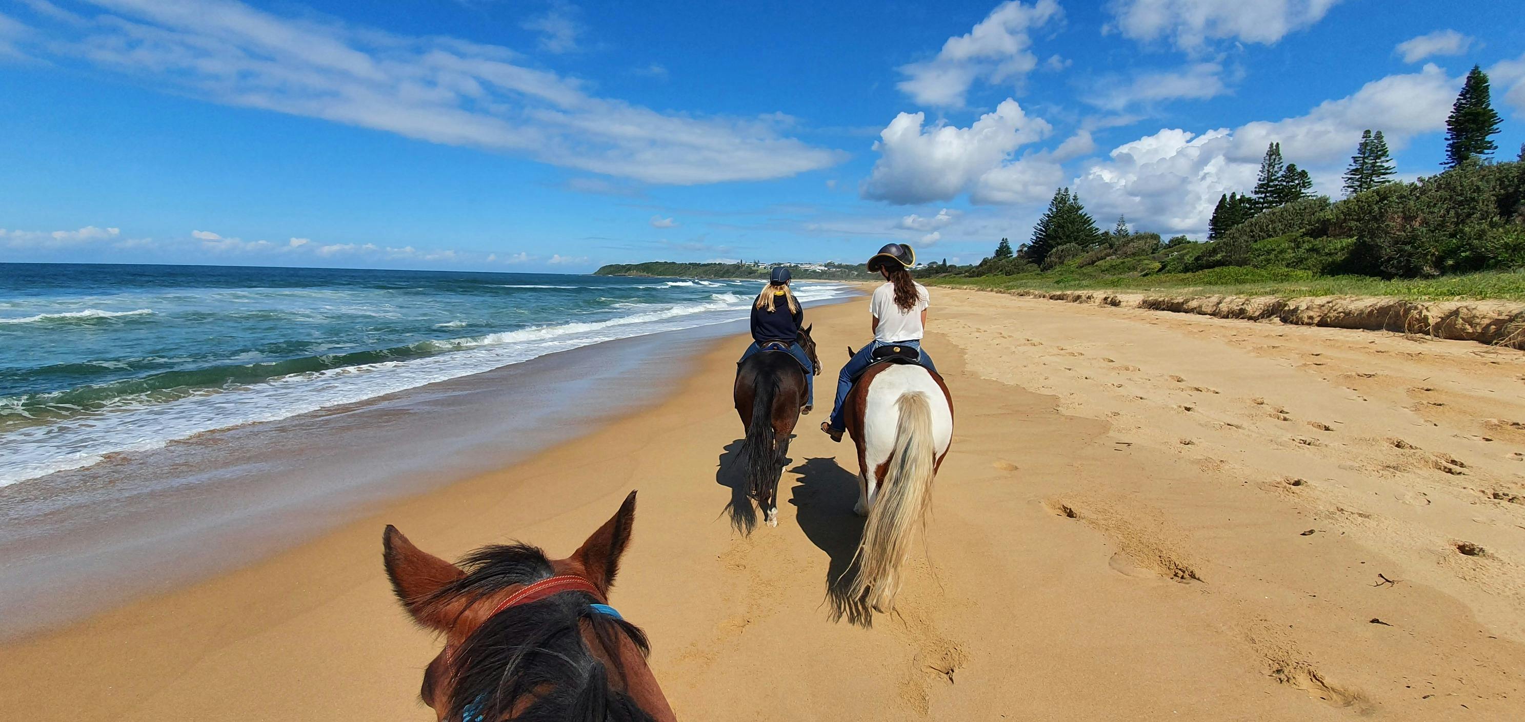 Riding your horse on the horse friendlybeach