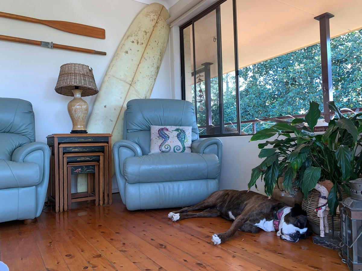 Dog friendly holiday house lounge room