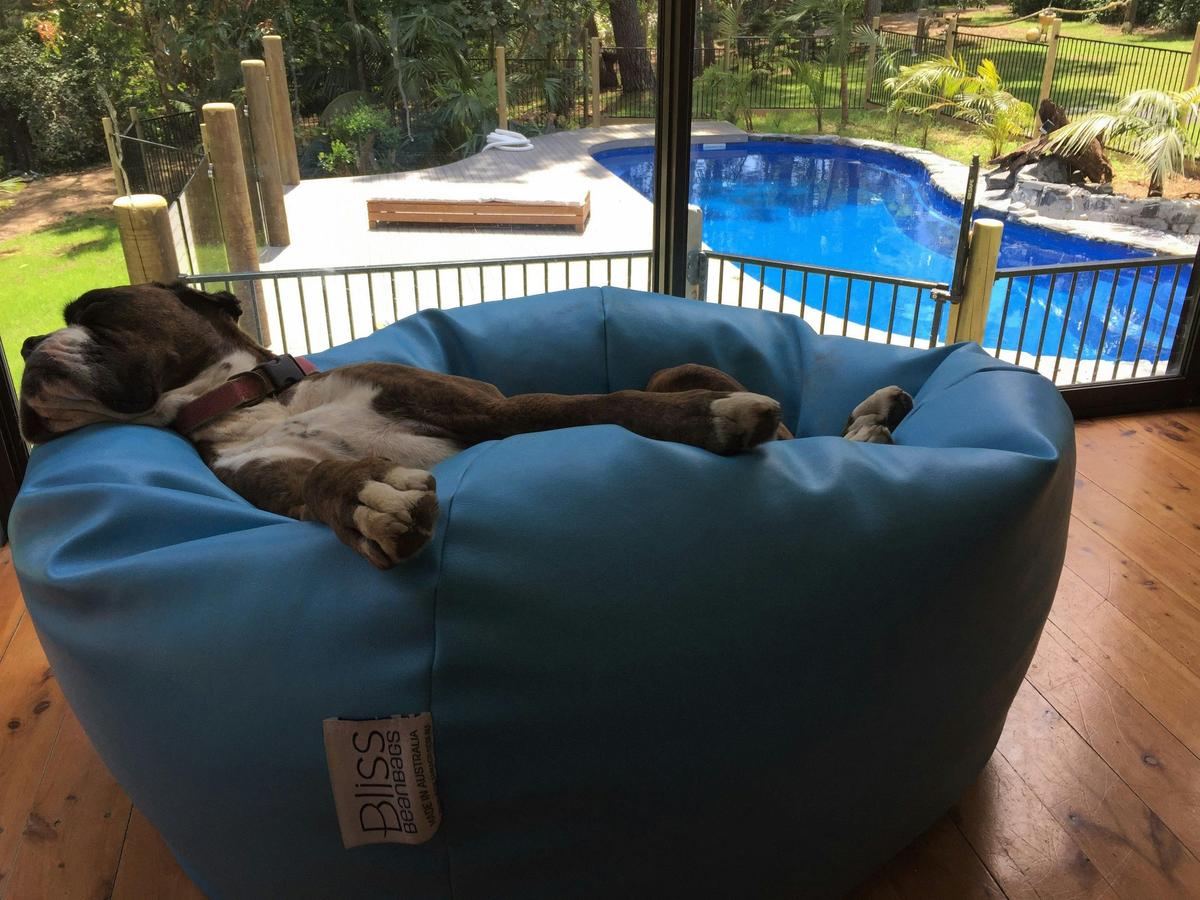 Dog Friendly Bliss at north coast holiday home