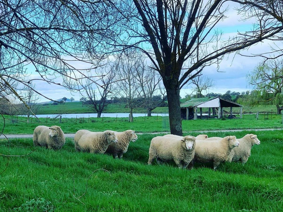Historic Merryville Homestead