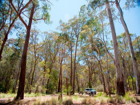 Coolah Tops National Park