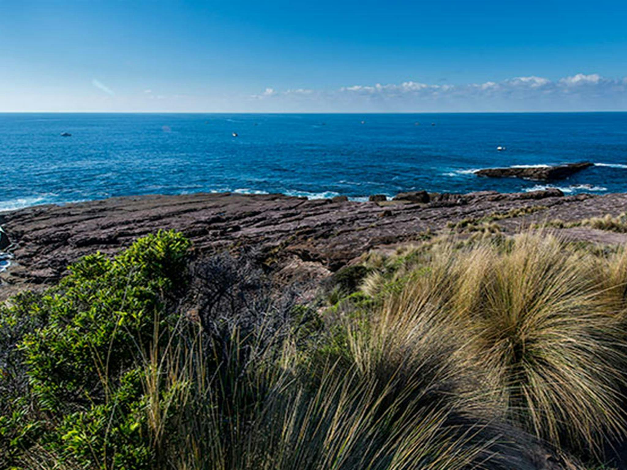 Green Cape lookout, Beowa National Park. Photo: John Spencer