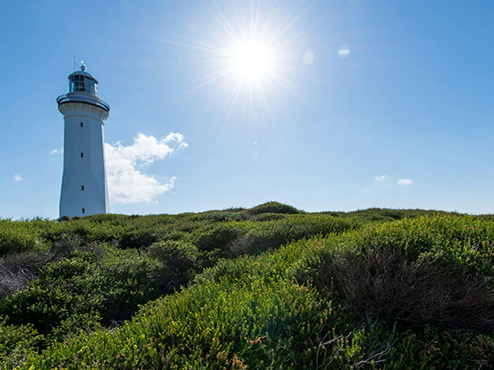 Green Cape lookout, Beowa National Park. Photo: John Spencer