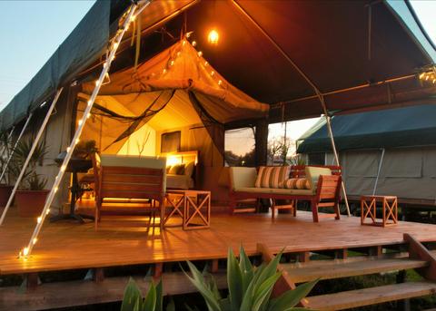 Glamping - Luxury Safari Tent