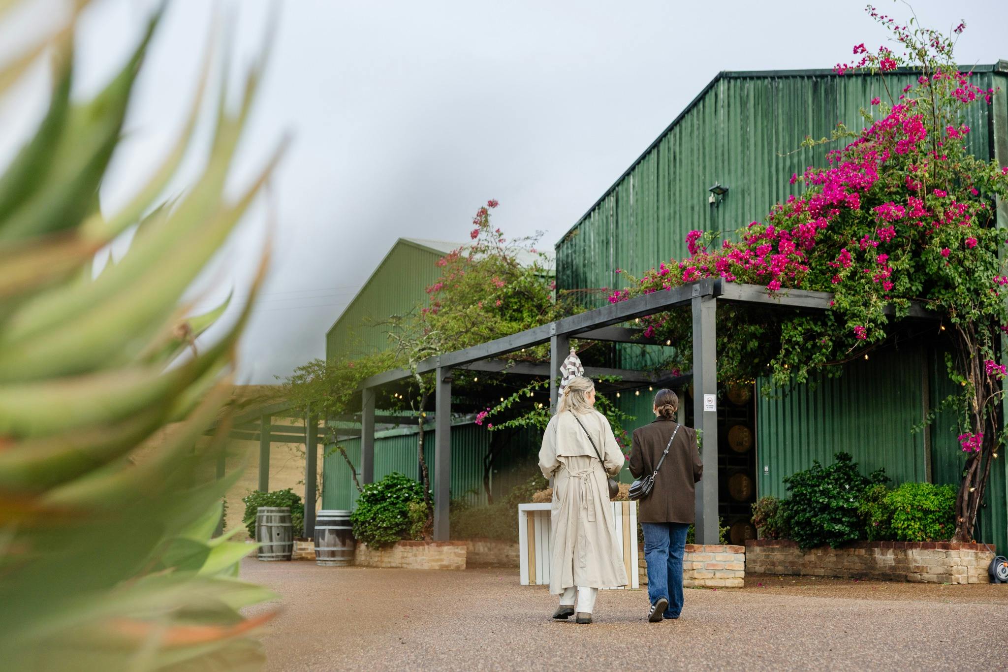 street food at sunset feast