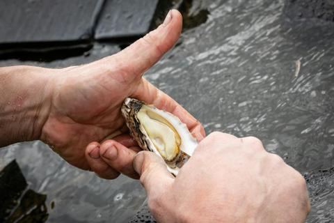 Gourmet Coast Trail - Merimbula