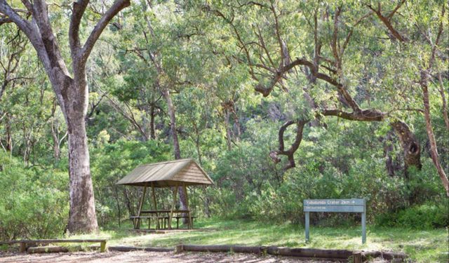 Green Camp
