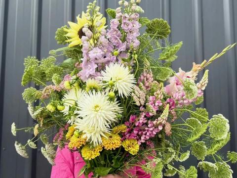 Oxley Hill Farm Flowers