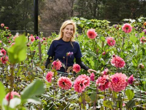 Oxley Hill Farm Flowers