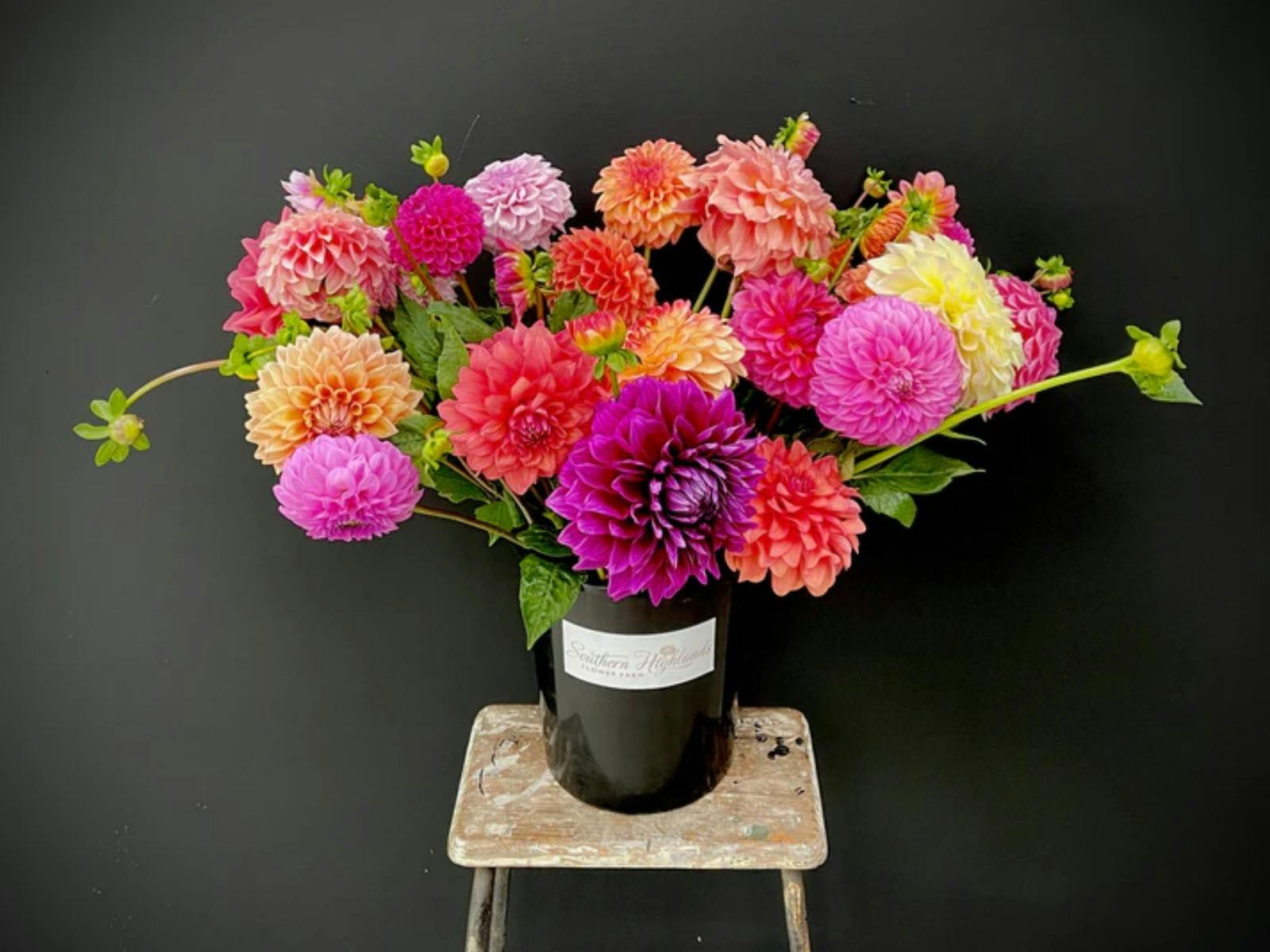 Southern Highlands Flower Farm 3