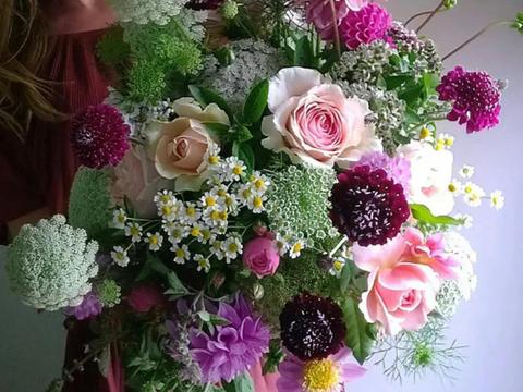 Southern Highlands Flower Farm