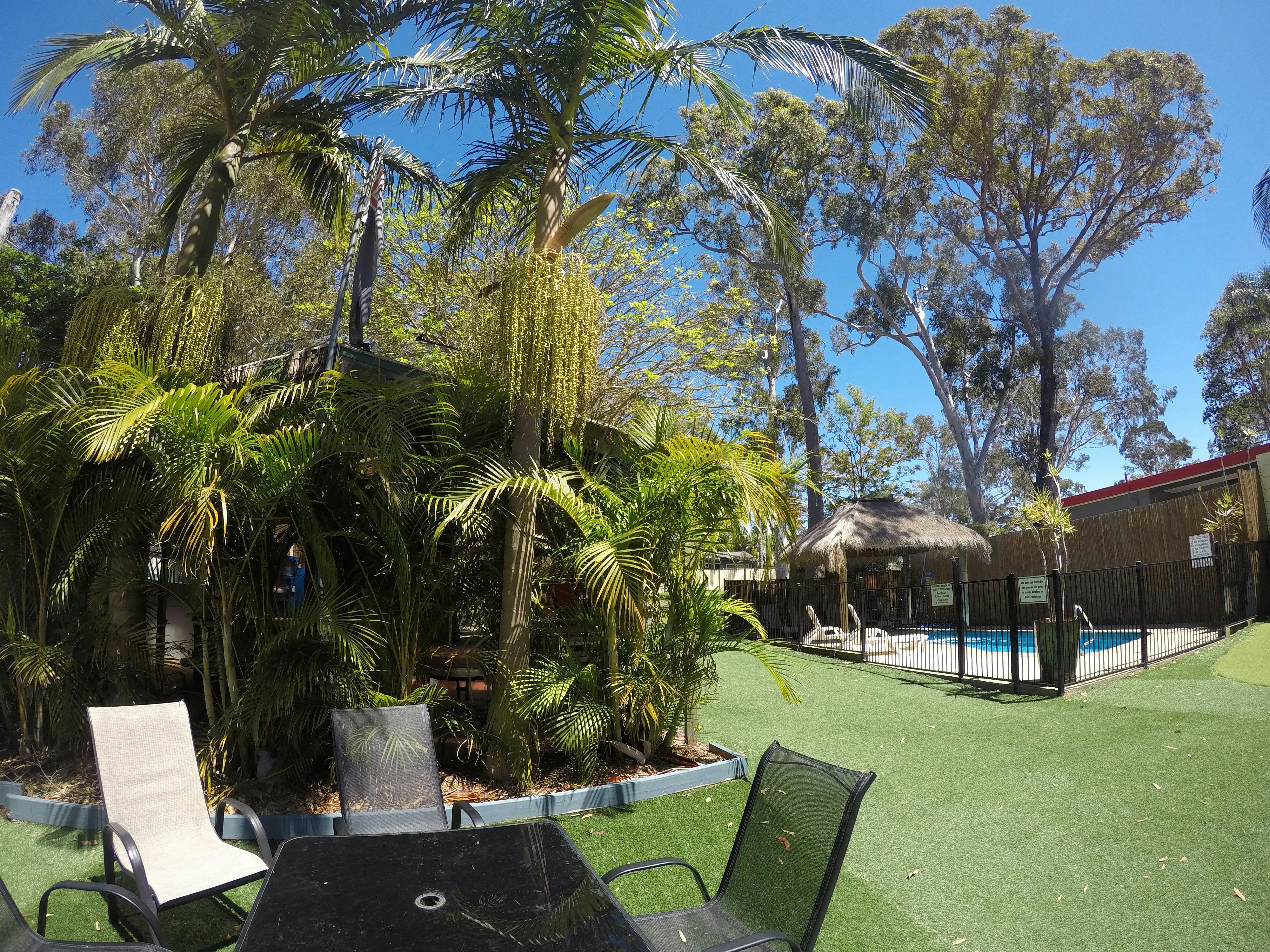 Palm Beach Caravan Park Outdoor Area
