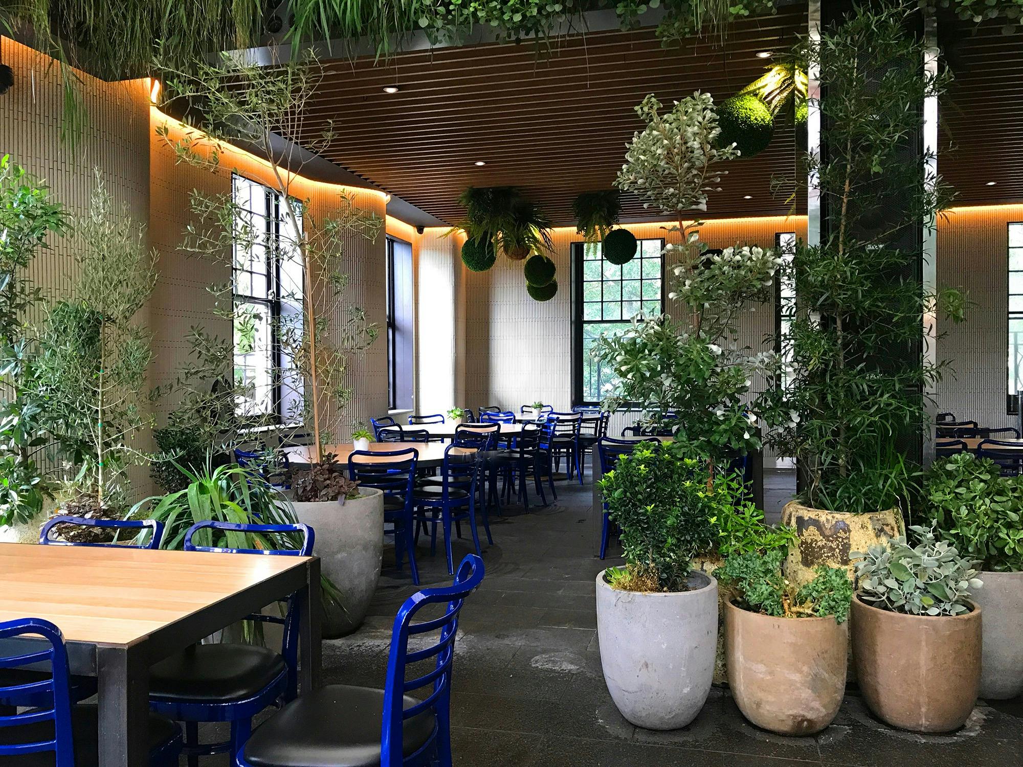 Paragon Garden Bar Bistro