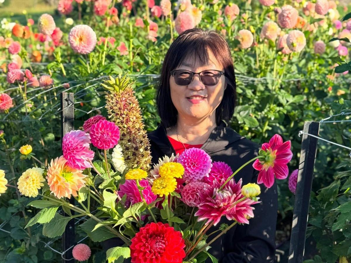 The Dahlia Patch 4