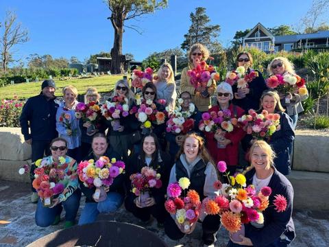 The Dahlia Patch
