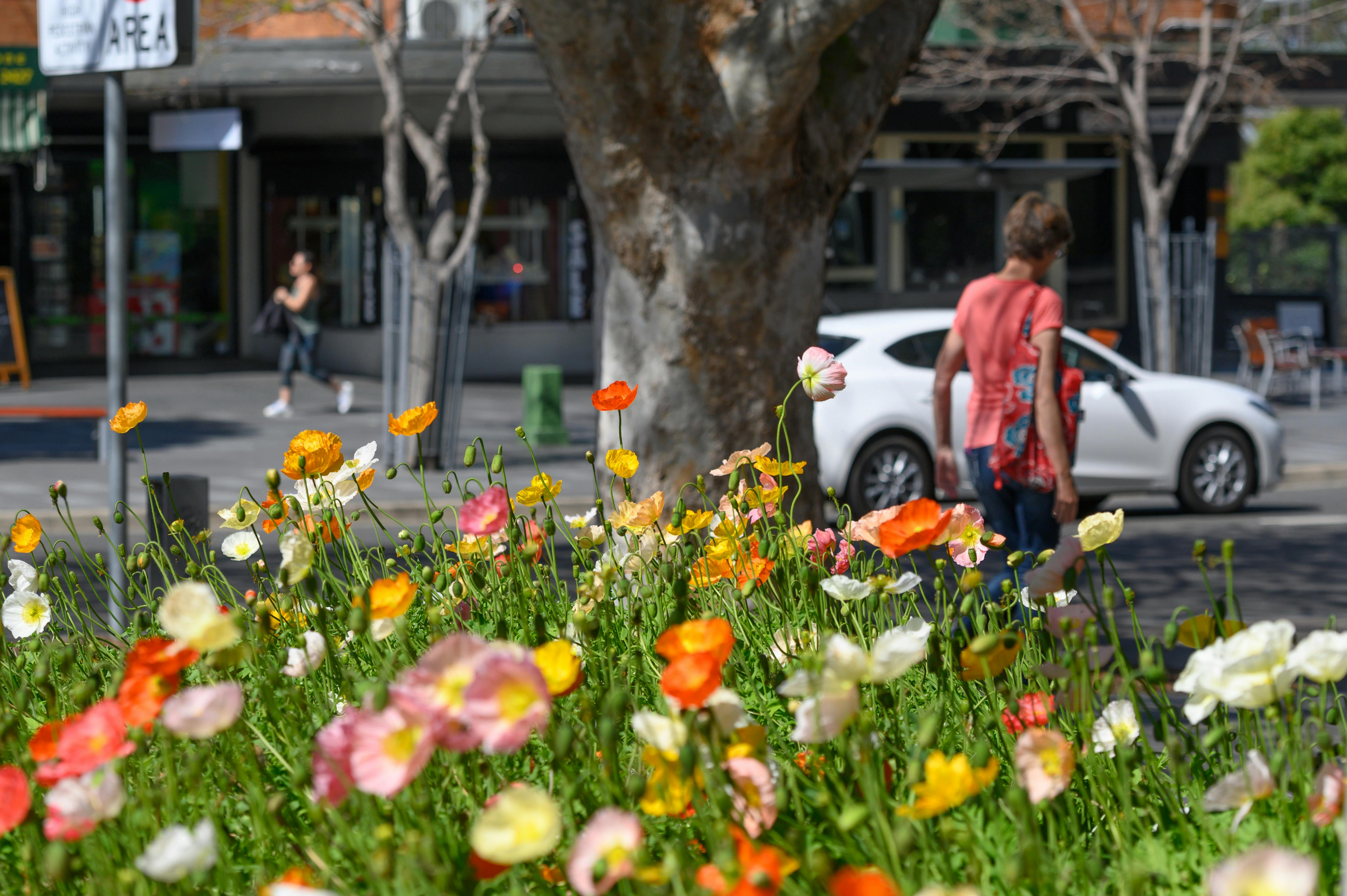 Gymea Shopping Village