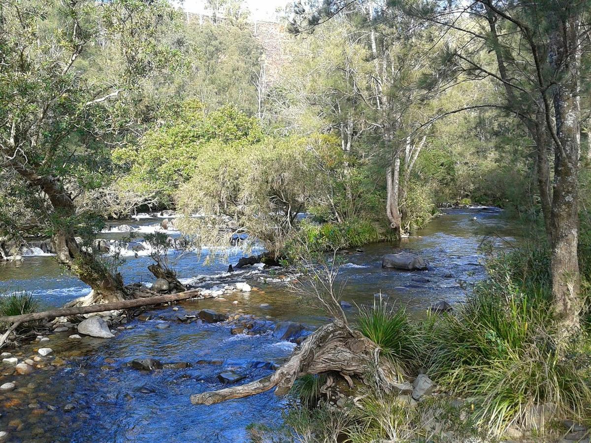The Steps Rapids