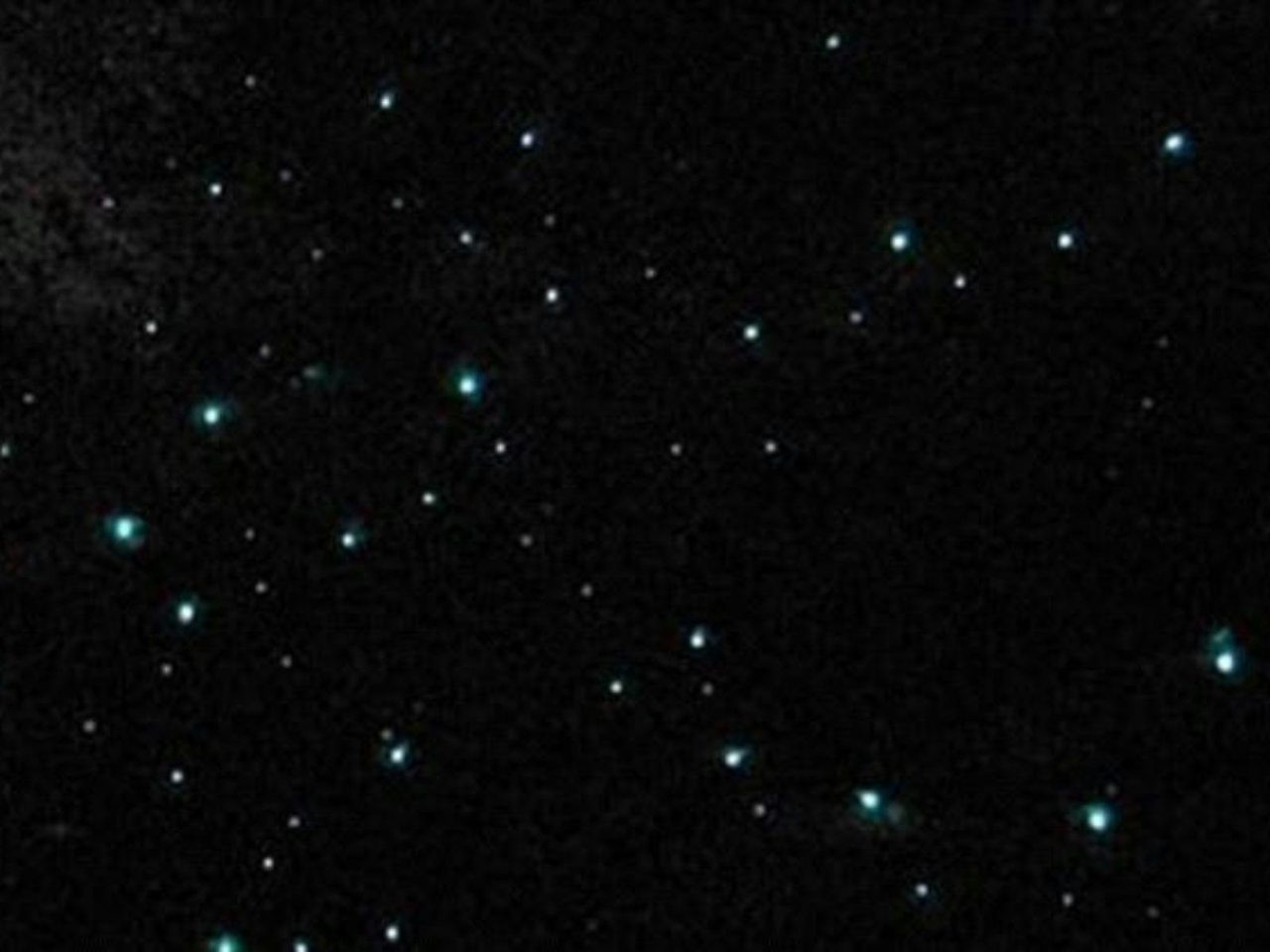 Glow Worm Glen 3