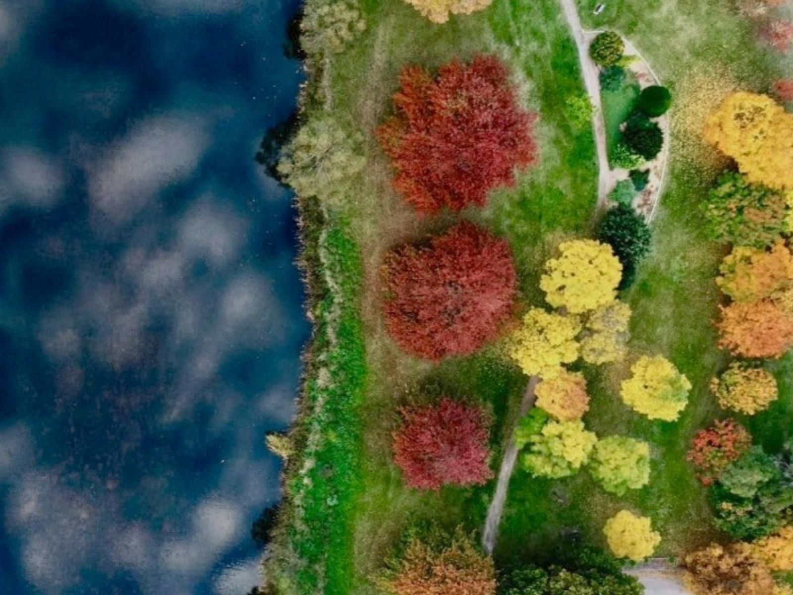 Autumn colours at Bombala Riverside Park, Bombala NSW