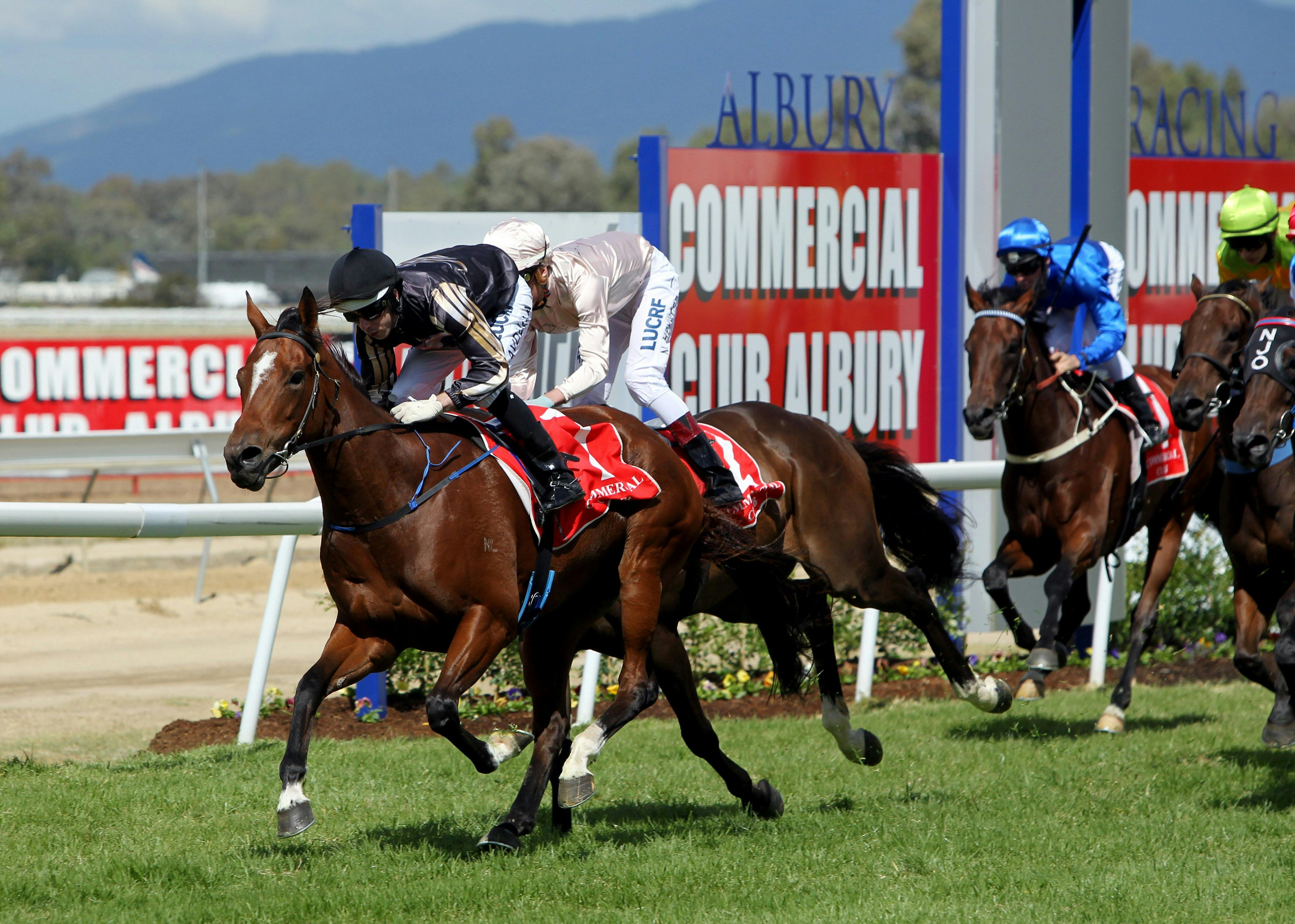 Albury Racing Club